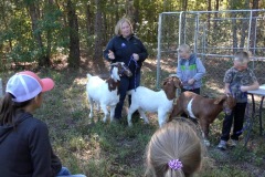 educational-goats