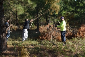 Volunteer Work Party